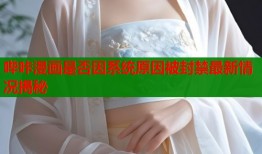 哔咔漫画是否因系统原因被封禁最新情况揭秘