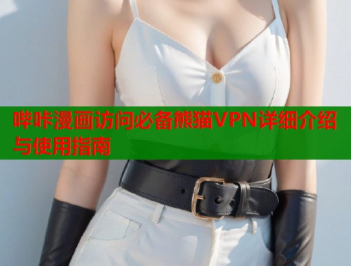 哔咔漫画访问必备熊猫VPN详细介绍与使用指南